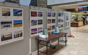 浜松市役所１階ロビー　作品展